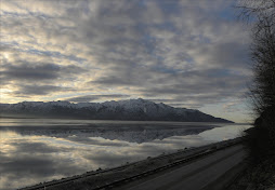 Reflections