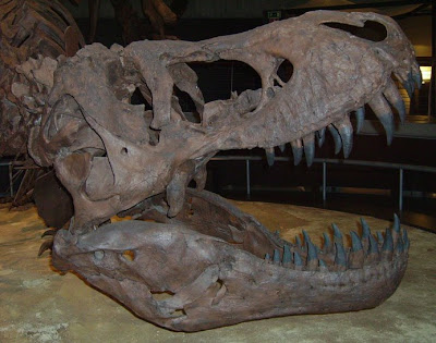 Era mesozoica Era mesozoica