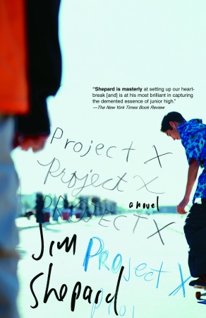 [proyecto_X.jpg]