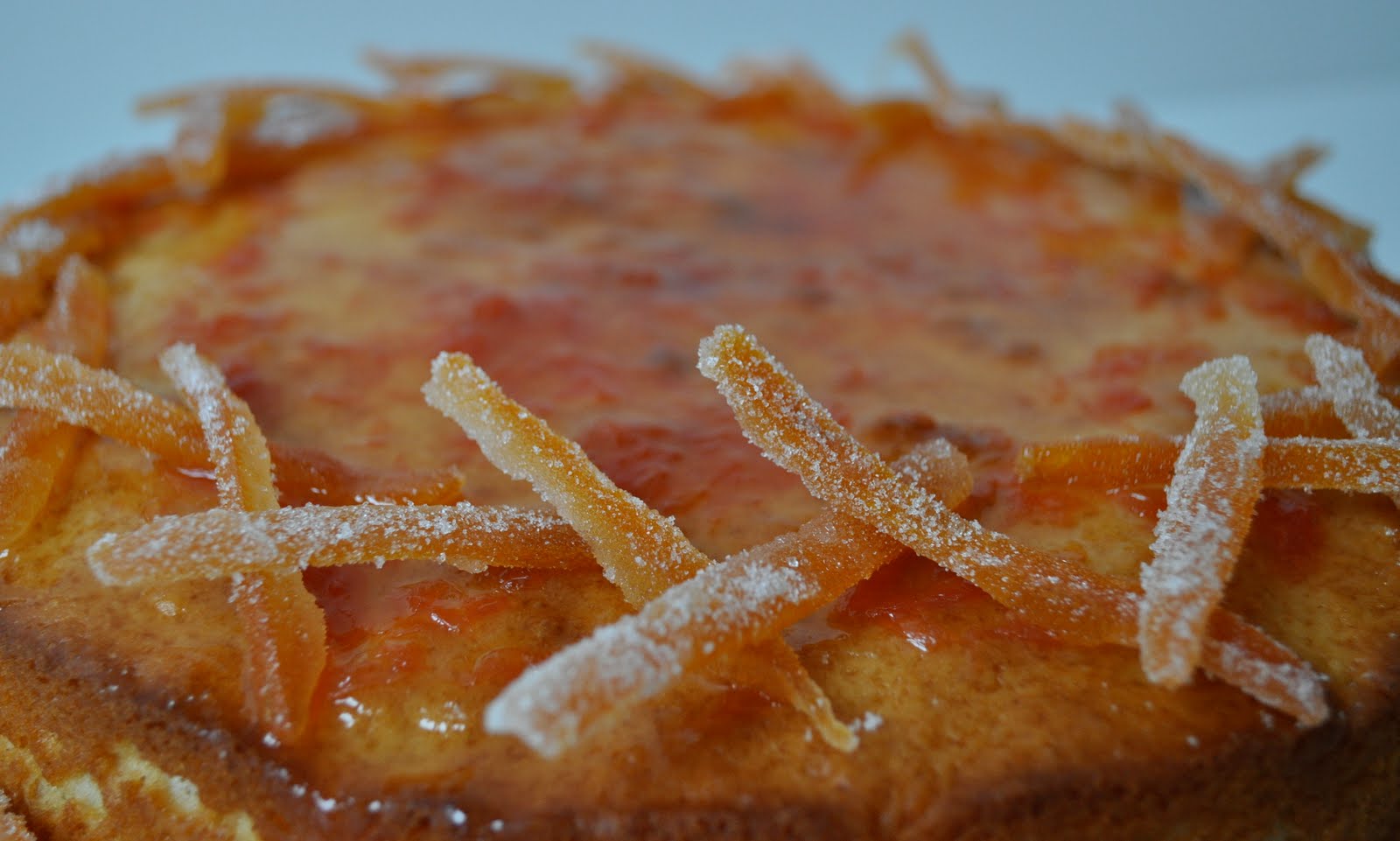 [DSC_0026.JPG]