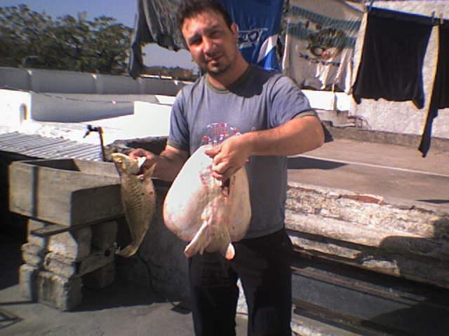 Habia de todo un poco