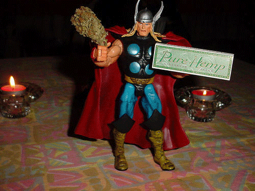 [thor.gif]