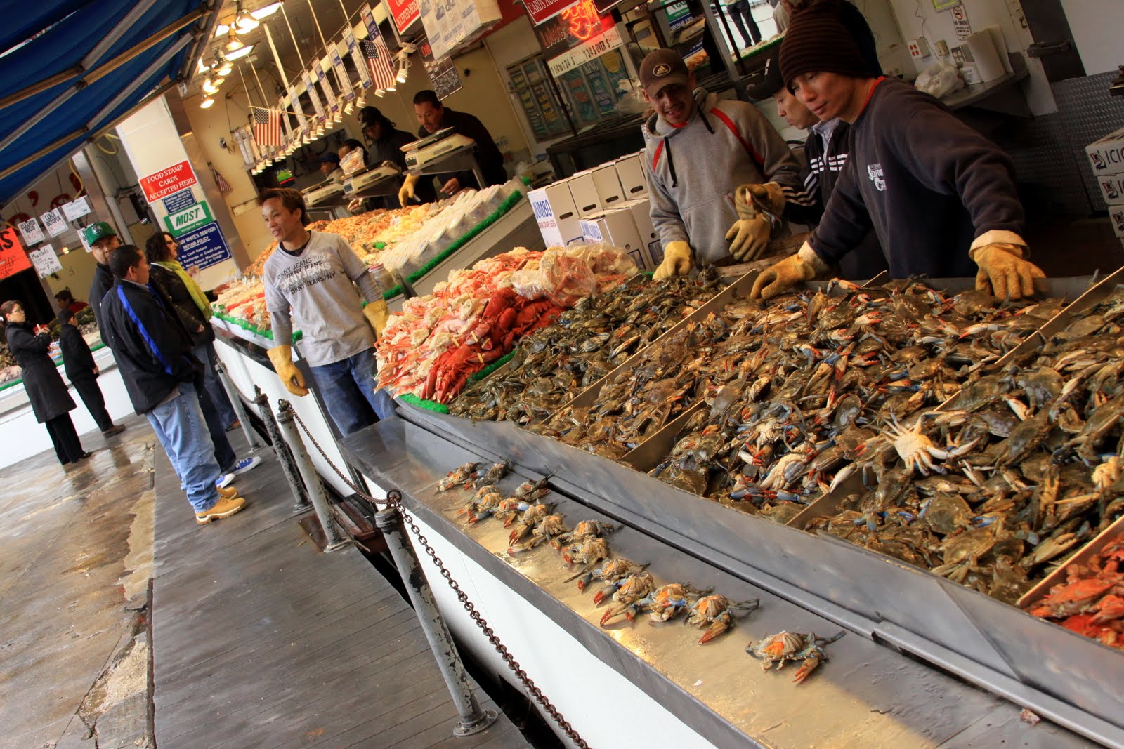 Reinventing Eden The DC Fish Market