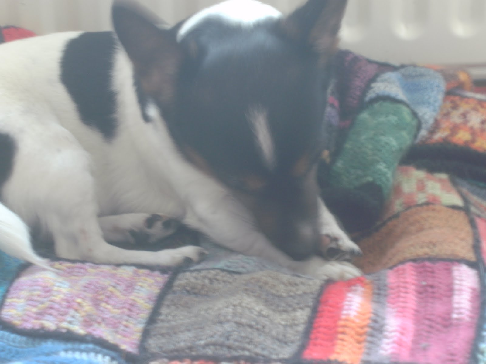 Frau Socke 01.01.11 01.02.11