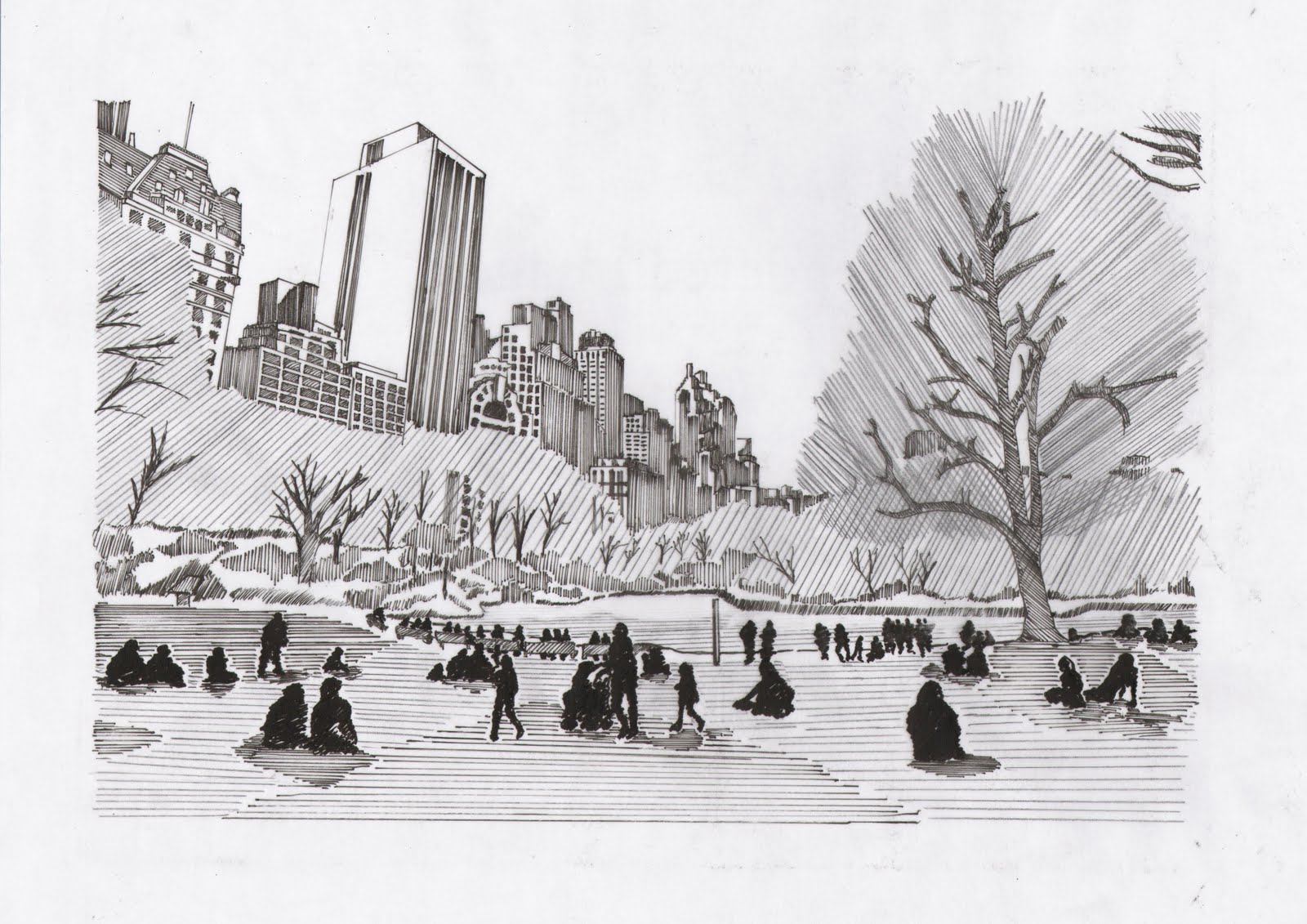 Central Park Drawing