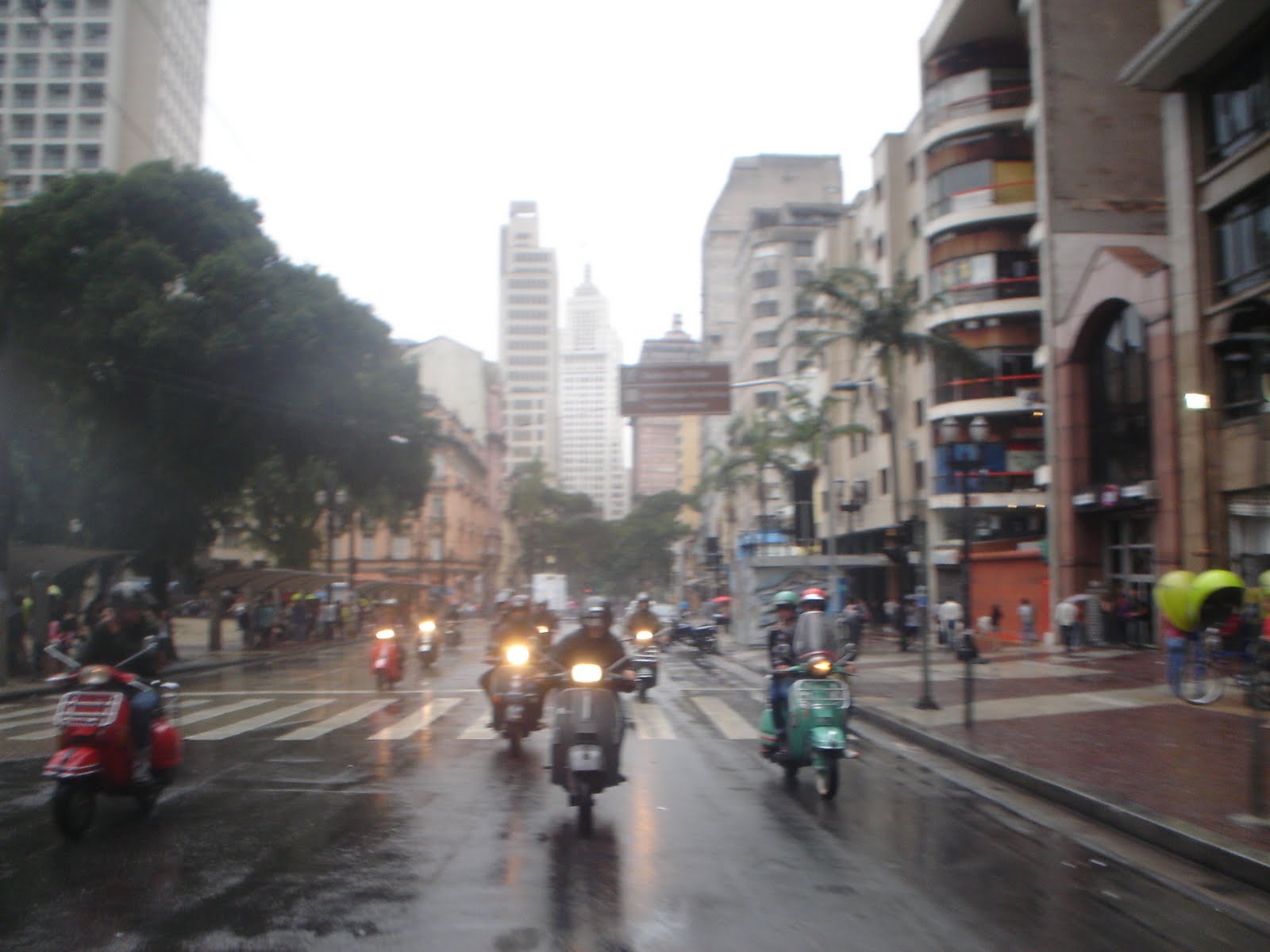 [DSC01453.JPG]