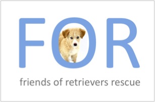 Check Out Our Site: www.forrescue.net