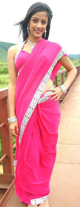 rithika in pink saree actress pics