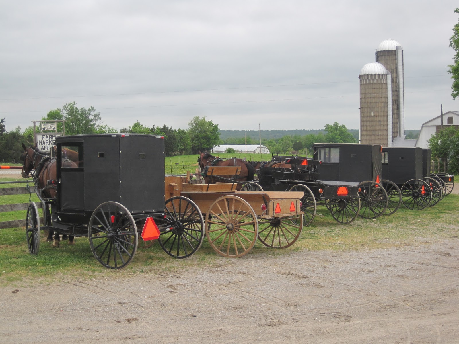 Gone Walkabout Amish Plant Auction