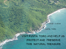 Help  Us Protect Punta  Toro
