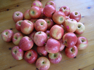 A load of apples