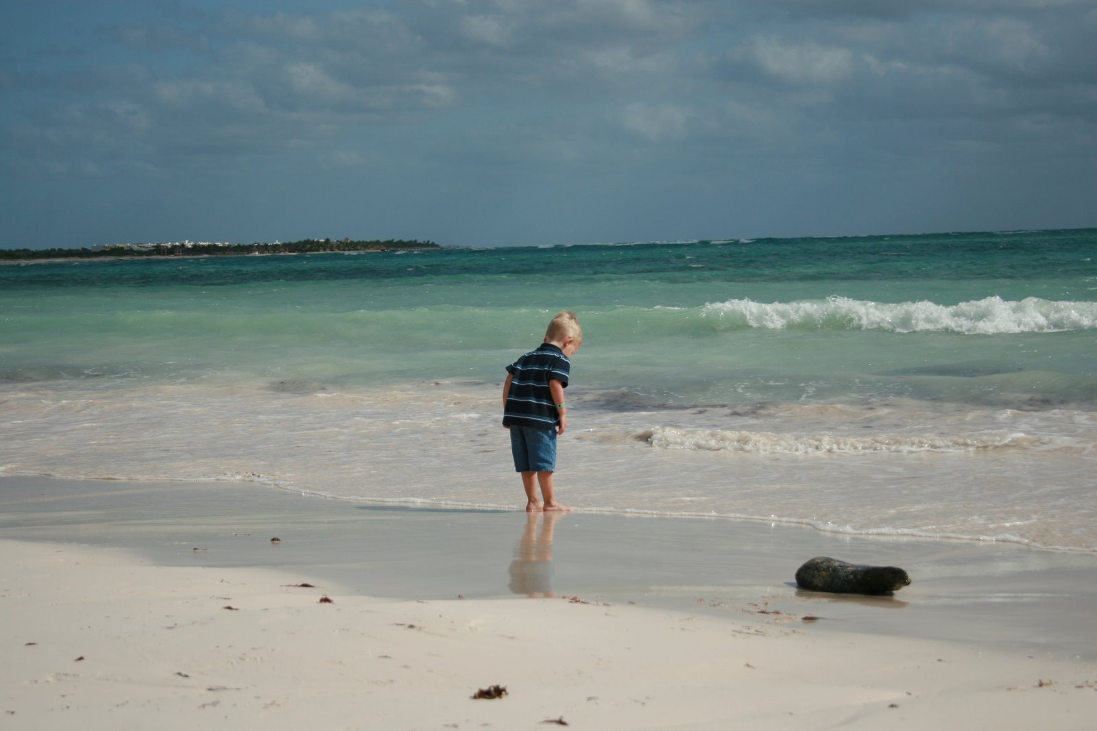 [20090131_3191.JPG]