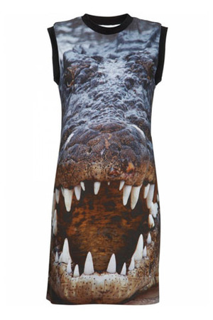 Christopher Kane Dresses. Christopher Kane for Topshop