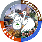 AVELLINO PER IL MONDO ONLUS