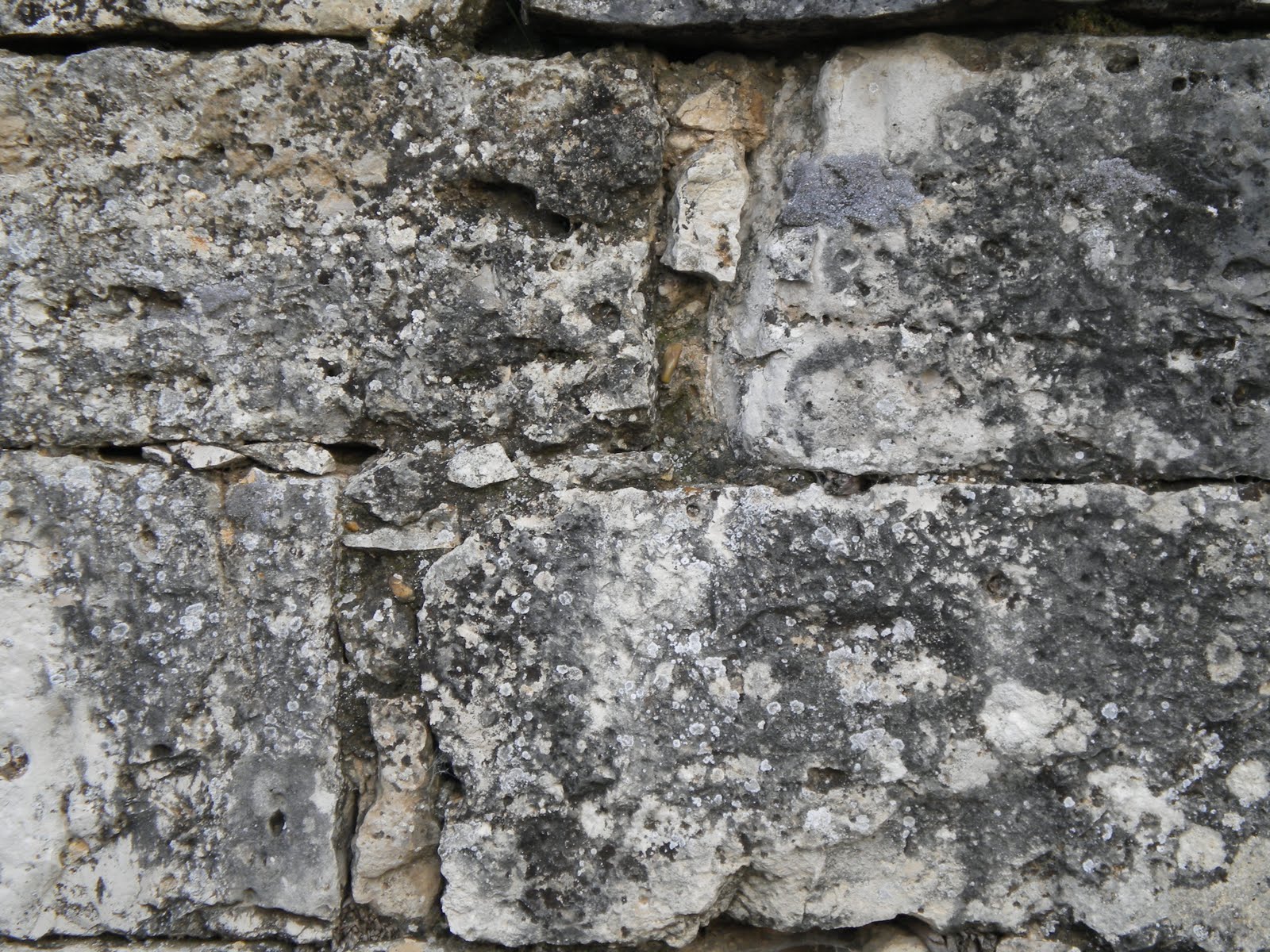 [DSCN0301_030alffoto.JPG]