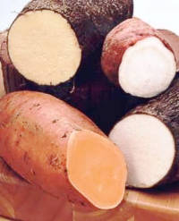 [sweet_potatoes.jpg]