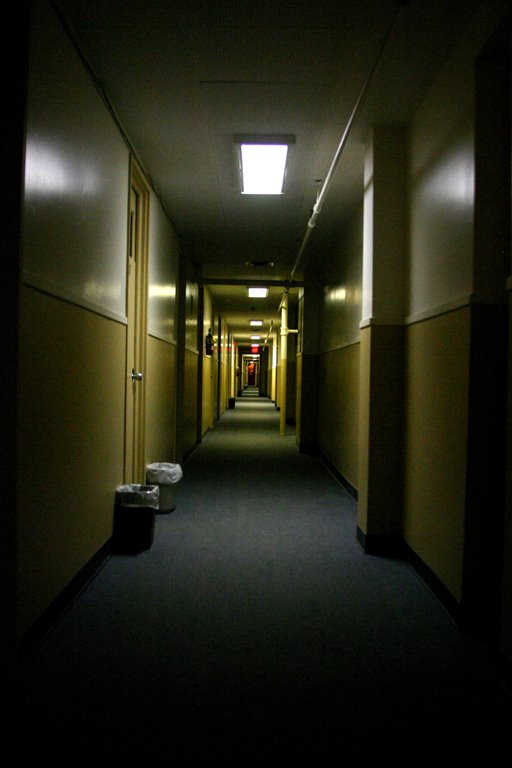 [whatever+026aNET.jpg]