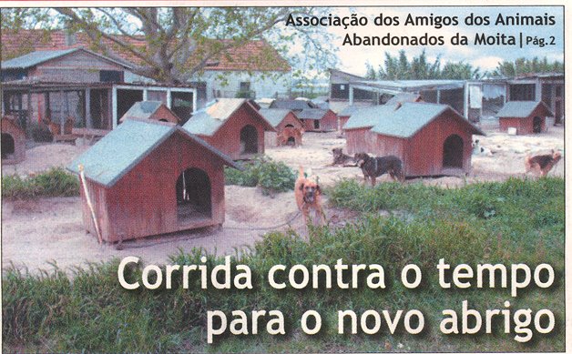 [AAAM2.jpg]