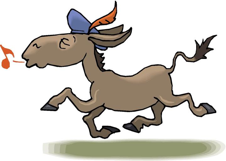 [donkey.jpg]