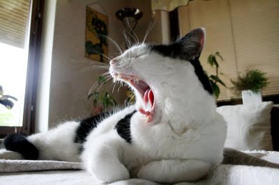 [Tired_by_Alipipi.jpg]