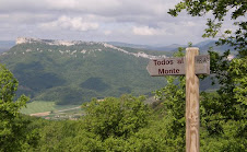 ir TODOS AL MONTE