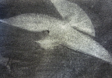 habia una Paloma de la paz pero era de papel y estaba muy estropeada