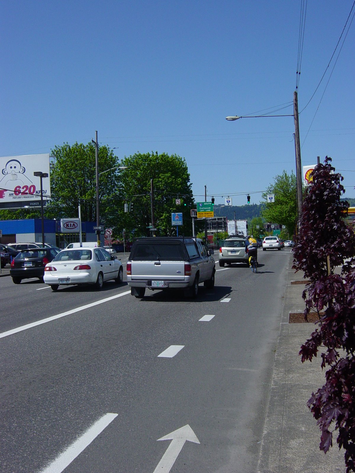 [wisteria+and+bike+lanes+018.JPG]