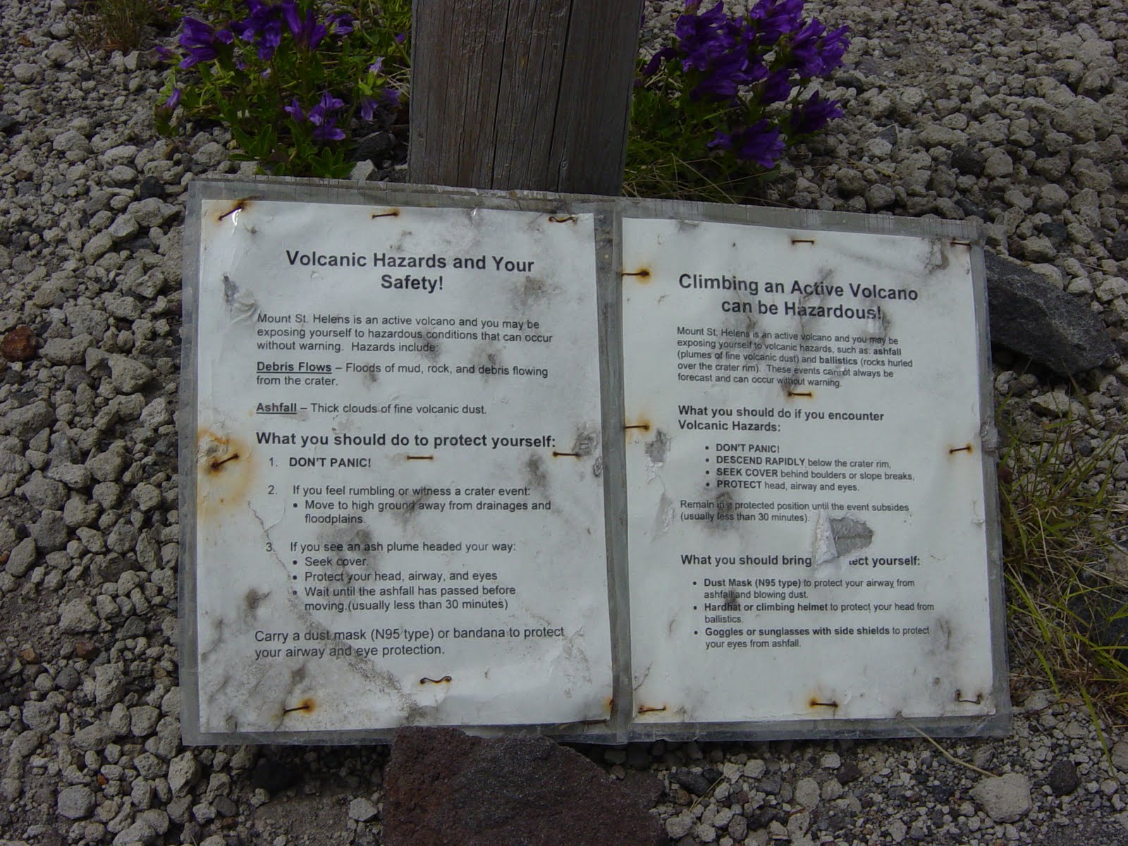 [ape+canyon+003.JPG]