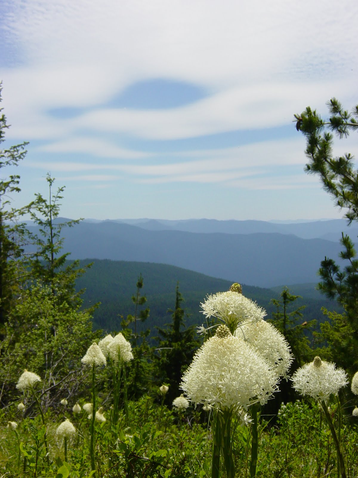 [Burnt+Lake,+Castle+Canyon+013.JPG]
