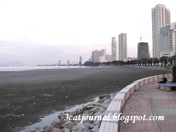 [DSCN4616.JPG]