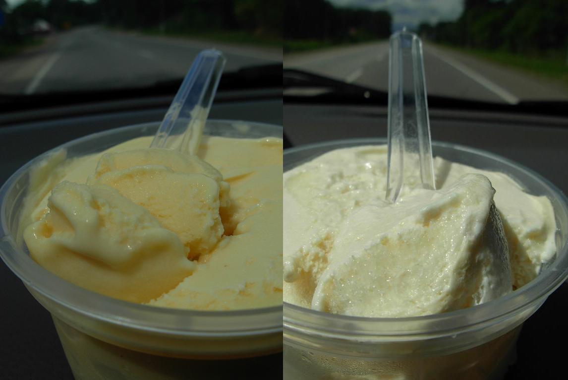 [Ice-Cream.JPG]