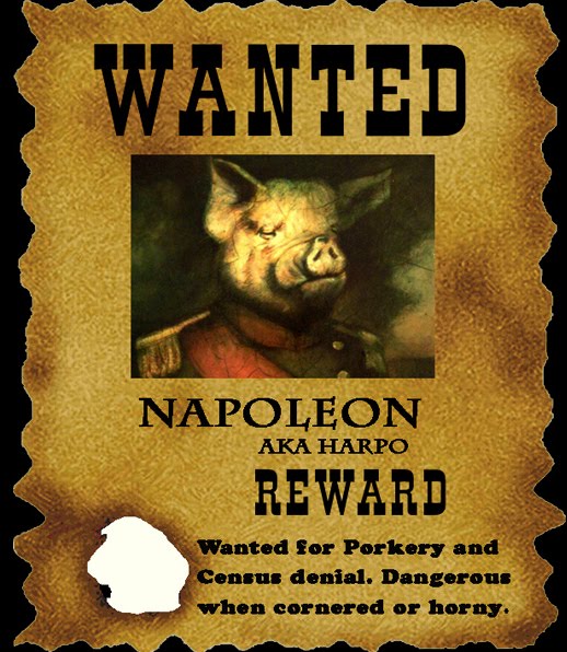 pig napoleon
