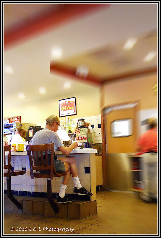 Ocala, Central Florida & Beyond May 2010