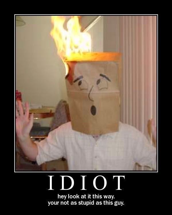 how-to-be-an-idiot.jpg