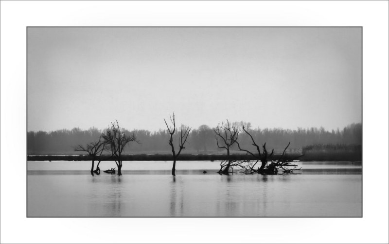 bootje biesbos marjon s fotoblog fluisterboot biesbos bootje biesbos marjon s fotoblog fluisterboot biesbos