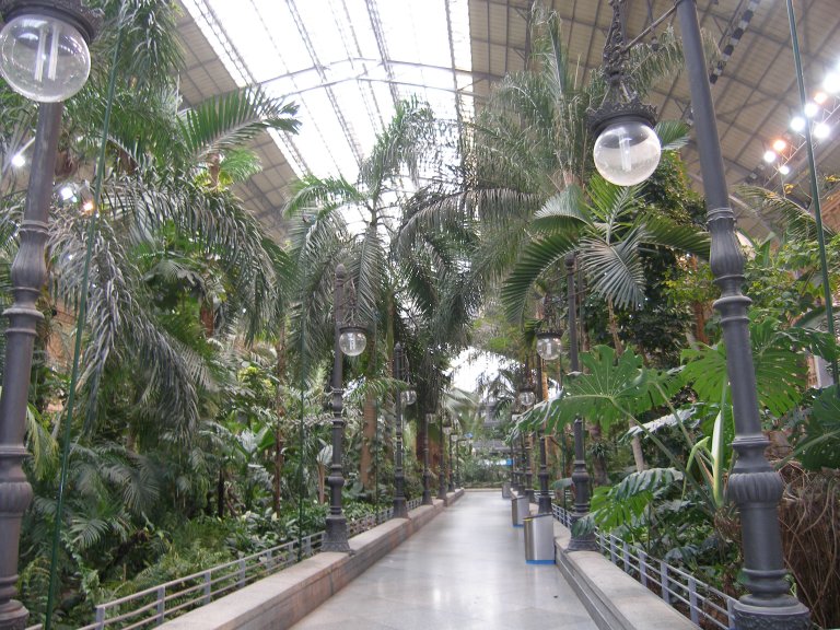 trees inside buildings