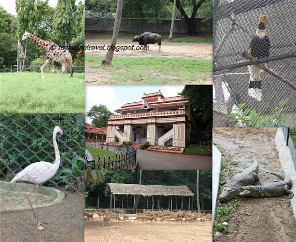 My India Travel: Mysore Zoo