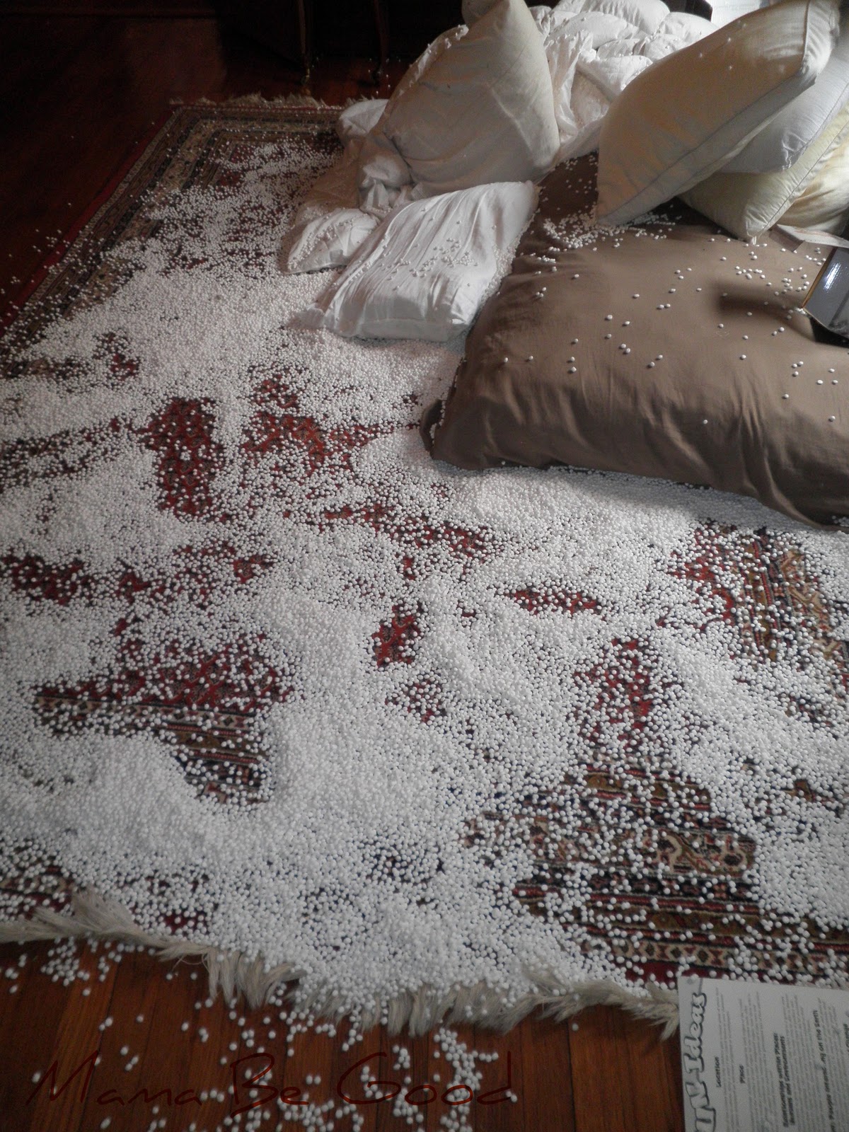 Cat Pooping White Foam Cat Pooping White Foam