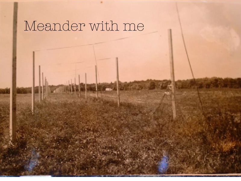 Meander with me