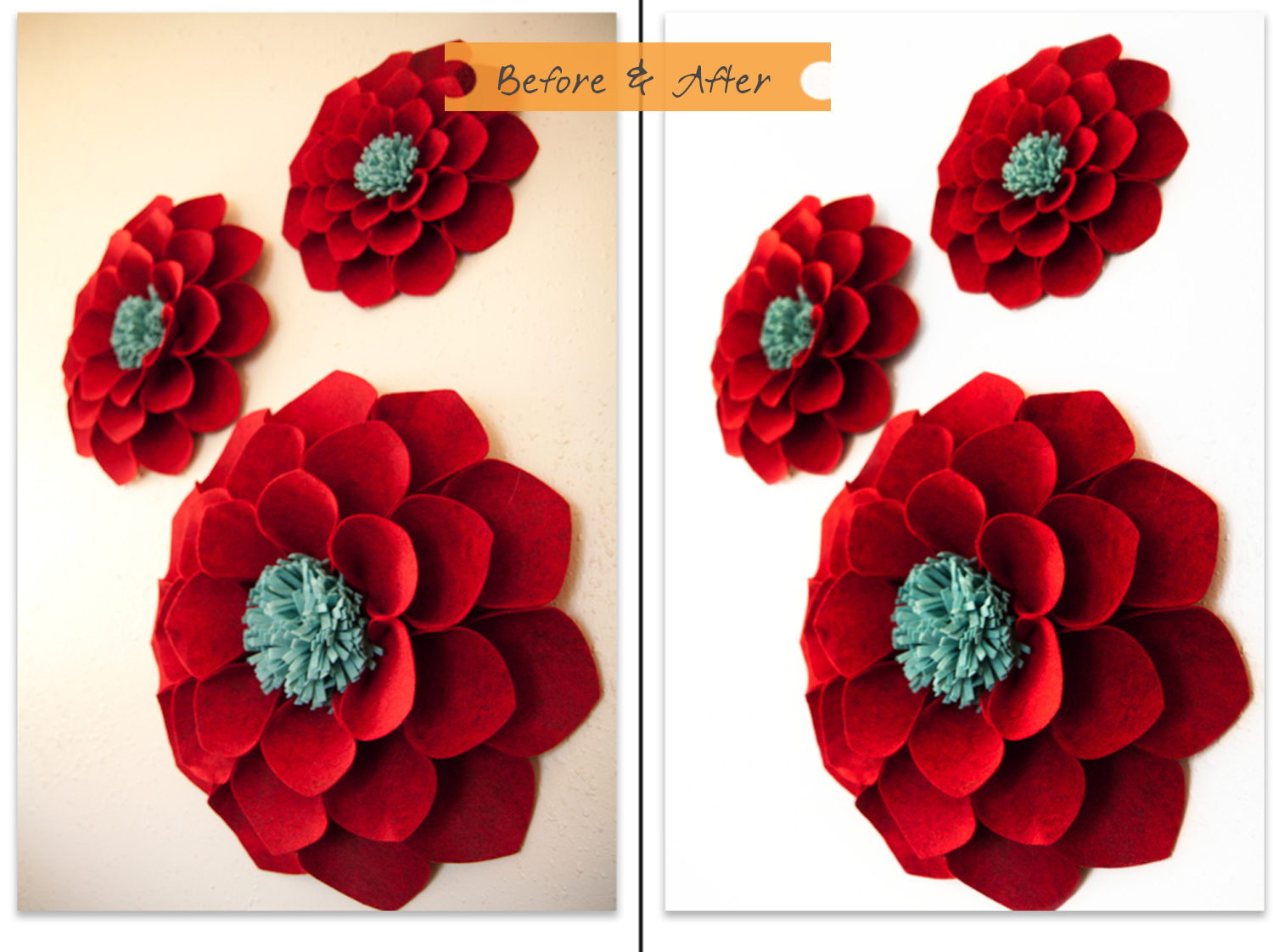 Small Business Guide Product Photography Tips In Honor Of Design