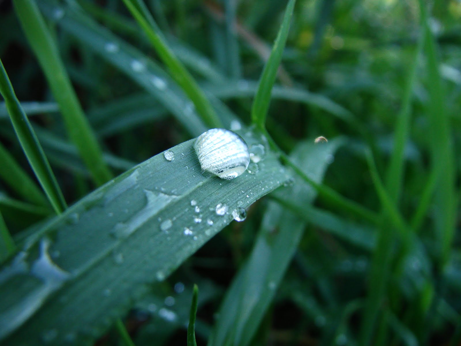 [DSC06349.JPG]