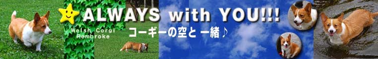 ALWAYS with YOU!!!　コーギーの空