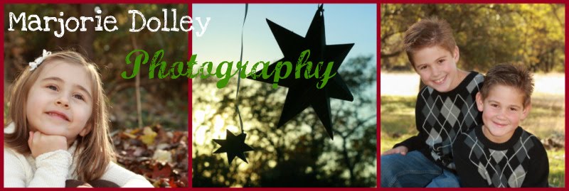 Marjorie Dolley Photography