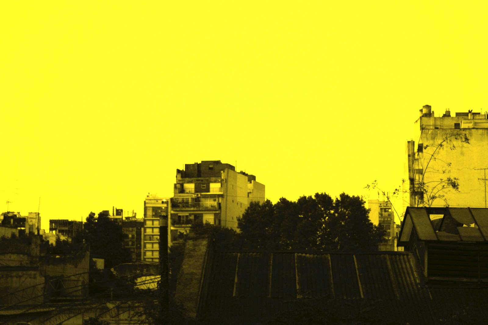 [edificio.jpg]