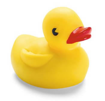 rubber-ducky1.jpg