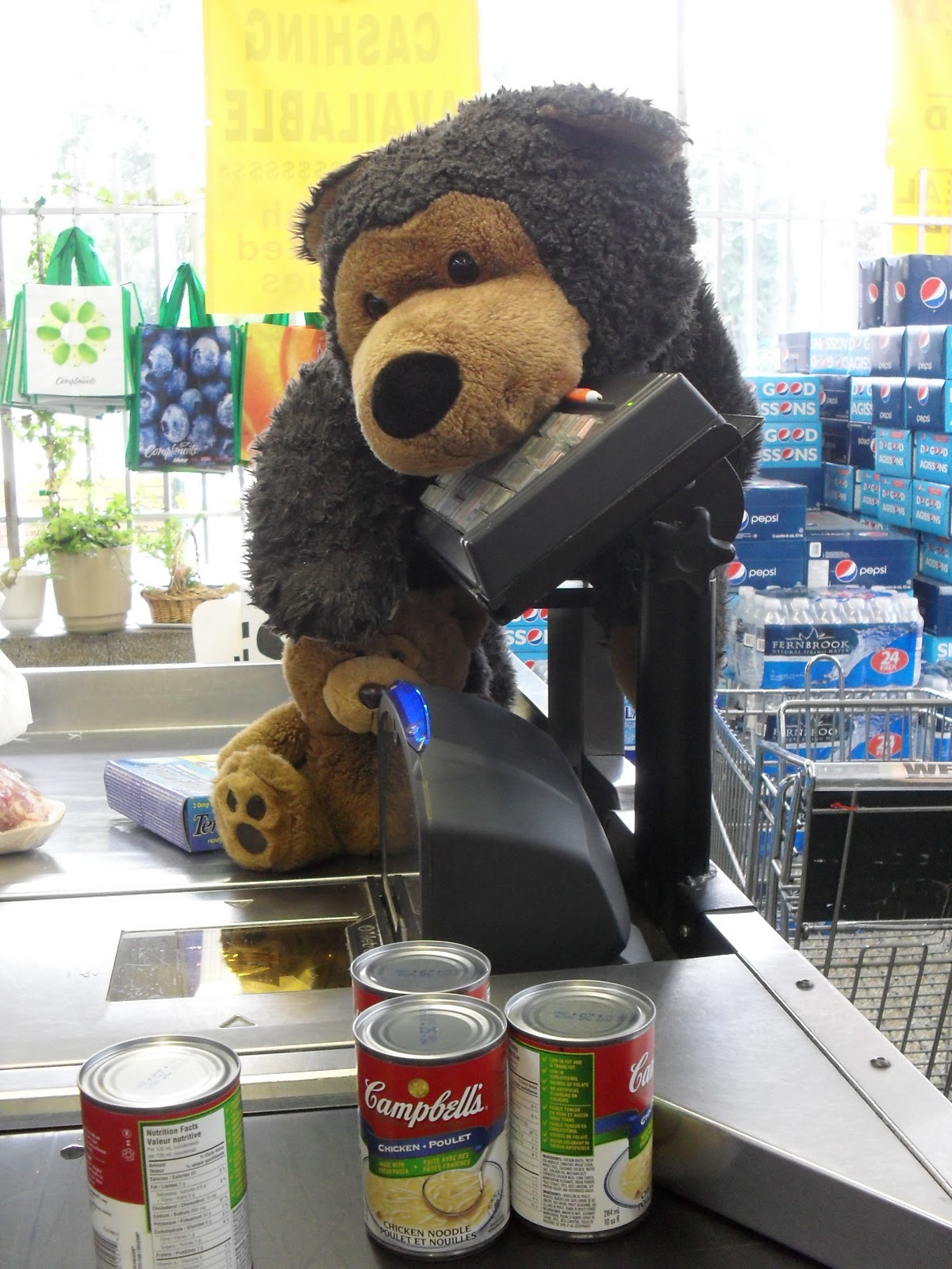 Adventures of Charles the Bear Cub Olde Sandwich Towne, Windsor, ON