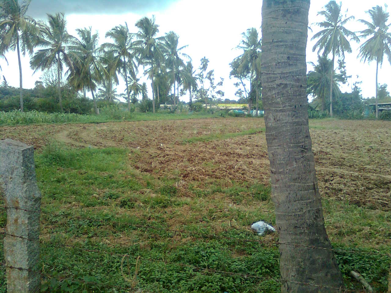 How Much Does 1 Acre Of Land Cost In Bangalore at Richard Christensen blog