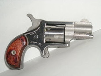 22+pistol+revolver