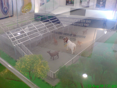 Pak Lah Farm Kos Kandang Mesti Murah Bagi Penternak Facebook