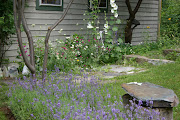 seaside cottage and lavender